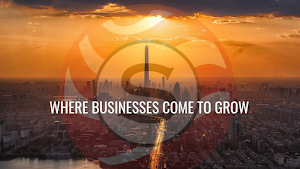 SunCity Advising place picture